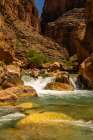 USA-Arizona-Grand Canyon National Park Havasu Creek on Colorado River Art Print